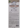 Treefrog Wave Young Leaf Air Freshener - Marine Squash Scent